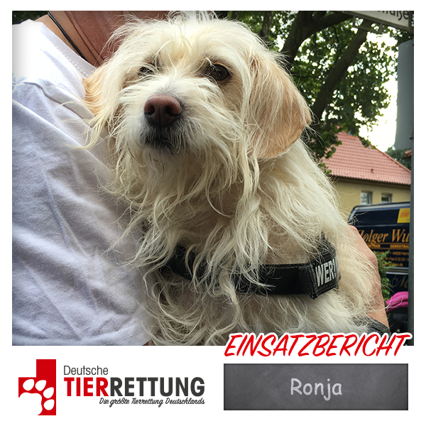 Tierrettung Einsatz: Ronja in Herne