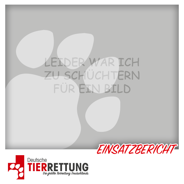 Tierrettung Einsatz: Tina in Herne
